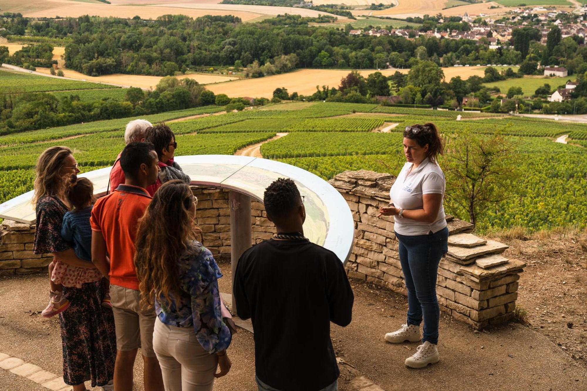 Les Suites Gueguen Chablis Extérieur photo